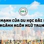 Ngành Ngôn Ngữ Trung Cần Học Những Gì