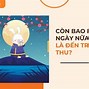 Tết Am Lịch 2023 Vào Ngày Mấy Dương