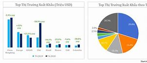 Top 10 Doanh Nghiệp Xuất Khẩu Cá Tra 2020 Tại Việt Nam Pdf Full