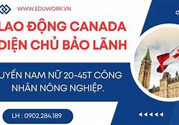 Xklđ Canada 2022 Pdf Tiếng Việt Pdf Gratis Download